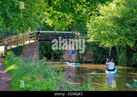 Young women paddle boarding approaching Dodds Bridge on the River Wey navigation on a summers day, Pyrford Surrey England UK Stock Photo