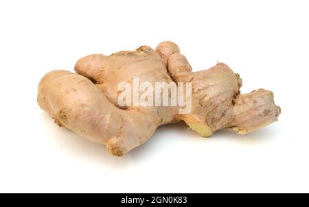Fresh ginger root or rhizome isolated on white background cutout Stock Photo