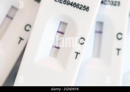Lateral flow test strip showing negative Covid 19 test results and a single simulated positive result. Stock Photo