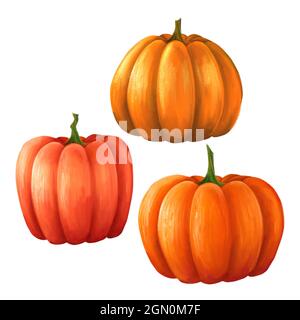 Orange pumpkin set isolated on white background . Stock Photo