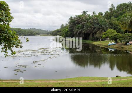 Salvador, Bahia, Brazil - July 27, 2014: Parque de Pituacu is situated on the seafront and occupies the largest ecological reserve in the city of Salv Stock Photo