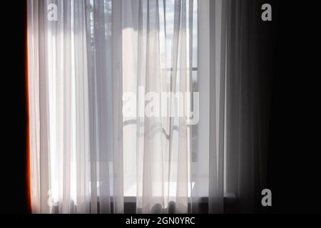Wavy white tulle in front of bright window on a sunny day. Background photo Stock Photo