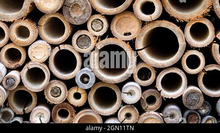 Wooden Cylinder Patterns - North Carolina, USA Stock Photo