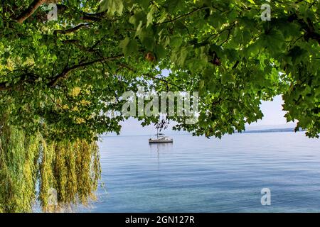 Bodensee : Island Mainau Stock Photo