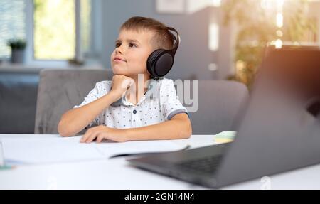 Schoolboy using laptop for studying Stock Photo