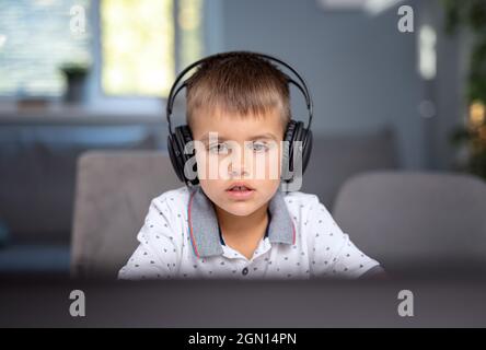 Schoolboy using laptop for studying Stock Photo