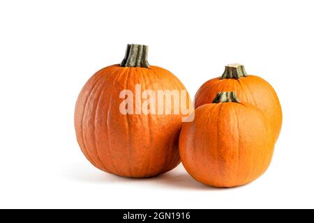 Pumpkin on a white background. Isolated halloween pumpkin isolate on white to insert into your project or design. Three orange pumpkins stacked in a Stock Photo