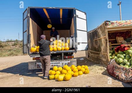 Men unloading a truck with Orange Honeydew Melons for selling on the seasonal outdoor market in Kyzyl-Orda, Kazakhstan, Central, Asia Stock Photo
