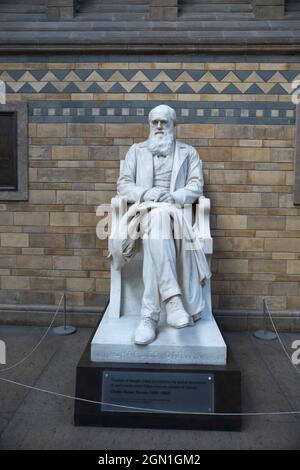 Statue of Charles Darwin in the Natural History Museum. London, UK. Stock Photo