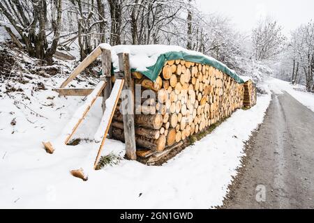 Nicely stacked firewoods in a snowy forest on a cold winter day in Tyrol, Austria Stock Photo