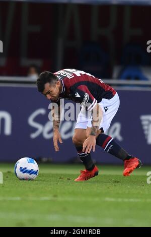 Gary Medel (Bologna)                                     during the Italian 'Serie A' match between Bologna 2-2 Genoa  at  Renato Dall Ara Stadium on September 21, 2021 in Bologna, Italy. (Photo by Maurizio Borsari/AFLO) Stock Photo
