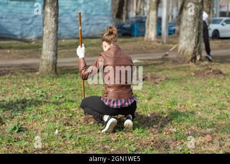 Children are picking the leaves. Cleaning leaves in the yard. A child sweeps leaves from a rake. Stock Photo