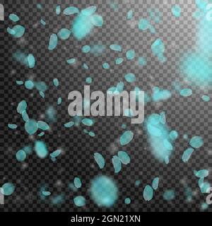 Turquoise flower petals falling down. Exotic romantic flowers falling rain. Flying petal on transparent square background. Love, romance concept. Bewi Stock Vector
