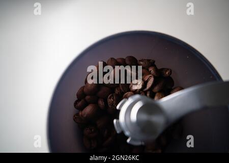 roasted coffee beans in a coffee grinder Stock Photo