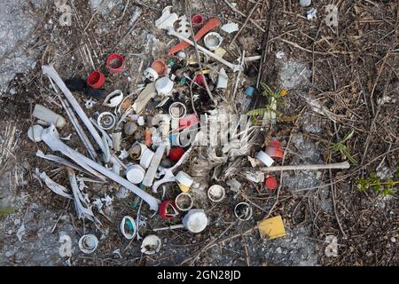 Remains of dead albatross with bottle caps and other plastic marine ...