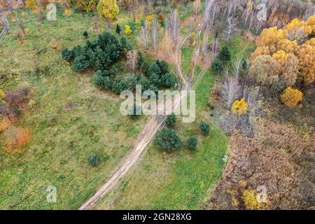 dirt road through an autumn landscape with green field and colorful autumnal trees. aerial drone photo Stock Photo