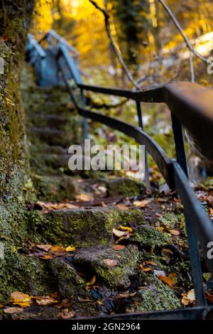 Mossy stone stairs with rusty metallic railings in the forest Stock Photo