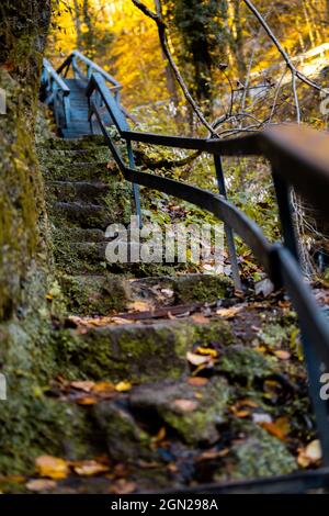 Mossy stone stairs with rusty metallic railings in the forest Stock Photo