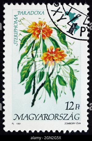 HUNGARY - CIRCA 1991: a stamp printed in the Hungary shows Steriphoma Paradoxa, Flowering Plant, circa 1991 Stock Photo