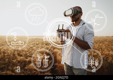 Man farmer standing in wheat field and controlling drone. Technologies in agriculture concept Stock Photo