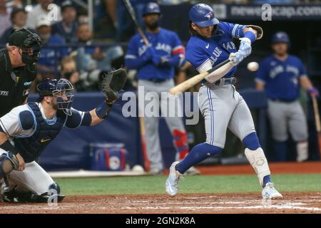 Bichette hi-res stock photography and images - Alamy