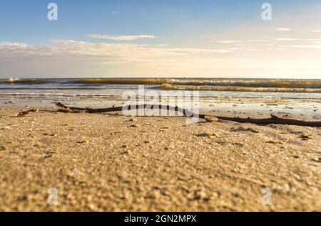 On the beach of Blåvand Denmark overlooking the sea. Blåvand in Denmark is a resort with beautiful large sandy beach Stock Photo