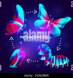 Metamorphosis concept. Butterfly life cycle banner. 3D vector illustration with abstract stereo neon silhouettes of insects - caterpillar, chrysalis a Stock Vector