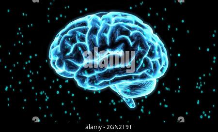 3D illustration of a brain with blue outlines isolated on a white ...