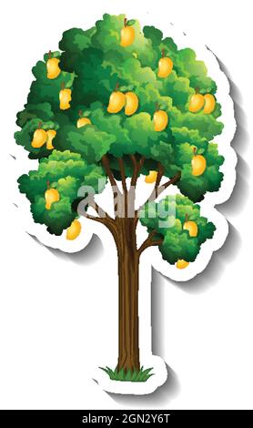 Mango tree sticker on white background illustration Stock Vector