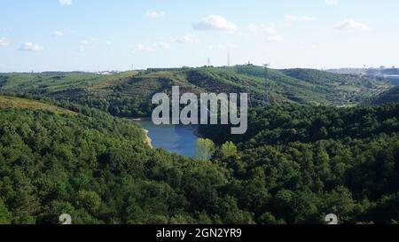 Forest and lake view from above Stock Photo