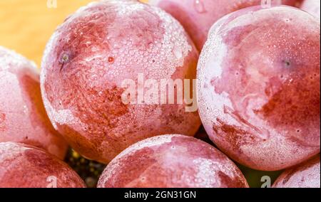 Closeup shot of water droplets on frozen red grapes Stock Photo