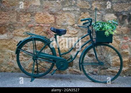 beautiful green bicycle with basket with plants in front Stock Photo