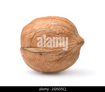 Side view of single whole walnut isolated on white Stock Photo
