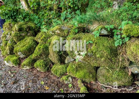 Moss covered stone wall in the lakes. Stock Photo