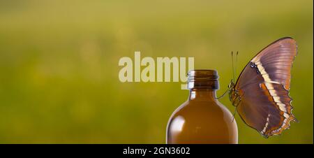 Butterfly sitting on a brown bottle of perfume oil, bokeh background  with empty space for text Stock Photo