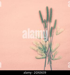 Dried Greenery on Green Background, Copy Space, Wallpaper Stock Photo