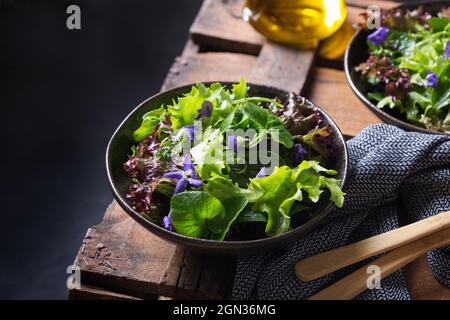 From above of tasty vegetarian salad with green and red lettuce leaves and edible flowers against jug of oil Stock Photo
