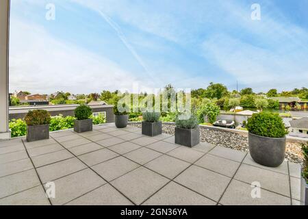 Potted plants on veranda under cloudy blue sky on summer day in sunlight Stock Photo