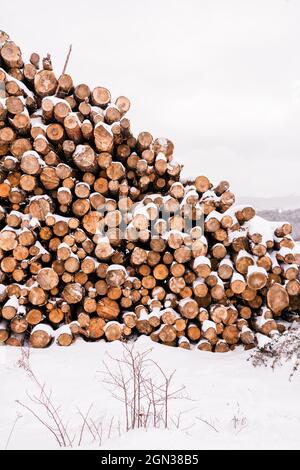 Pile of timber logs under snow in hilly winter valley under cloudy sky Stock Photo