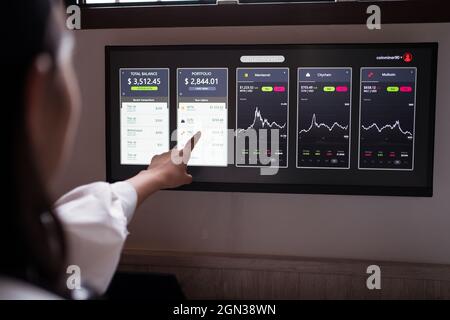 Crop anonymous female trader pointing at monitor with cryptocurrency and crypto wallet statistics Stock Photo