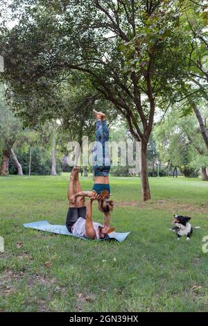 Side view of concentrated couple in sportswear practicing acroyoga on green grass near obedient dog in park in daytime Stock Photo