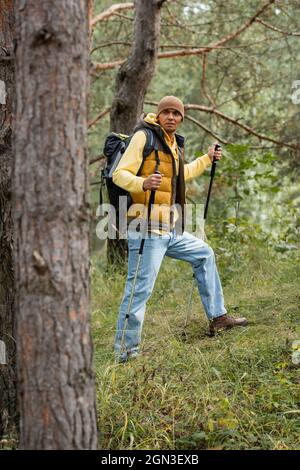 full length view of hiker with trekking poles looking away while standing in forest Stock Photo