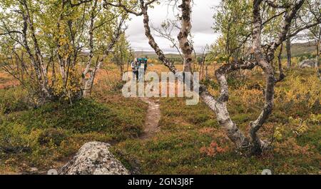 Landscape of northern Lapland shot in Finland. Fall colors and beautiful sights. Stock Photo