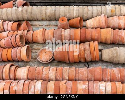 flowerpots in a green house, England Stock Photo