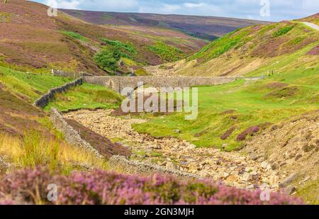 Surrender Bridge, Mill Gill, or Old Gang Beck near Reeth in a remote area of Swaledale during  August when the purple heather is in full bloom.
