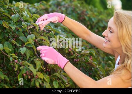 Smiling inspired woman pruning tree branches Stock Photo