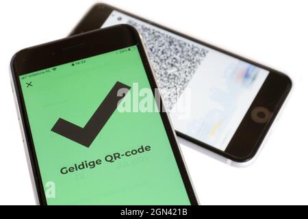 Dutch text 'Valid QR code' on the green screen of a smartphone meaning the owner of the other phone has been vaccinated or tested negative Stock Photo