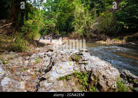 Trekkers are walking in rugged terrain along the old and overgrown Camino Real trail, Chagres national park, Republic of Panama, Central America. Stock Photo