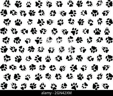 Seamless pattern of print of dogs paws on a white background Stock Photo