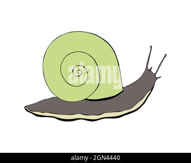 Snail contour doodling hand drawing, black silhouette, isolated, white background. Vector illustration Stock Vector